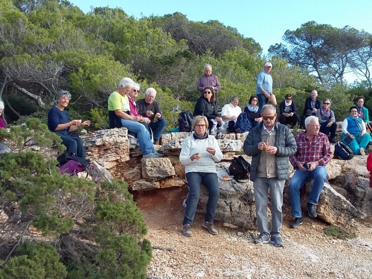 Mallorca Gruppe