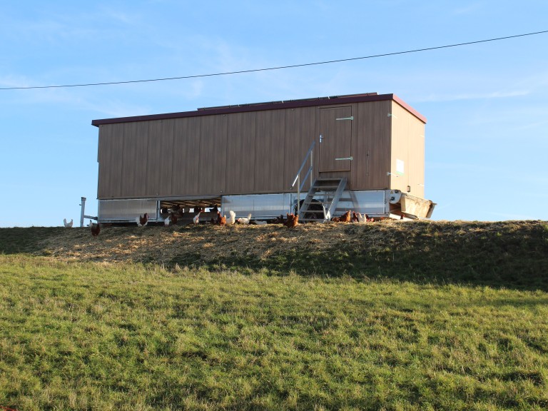 2020-01-15 Stallgespräch Holl 