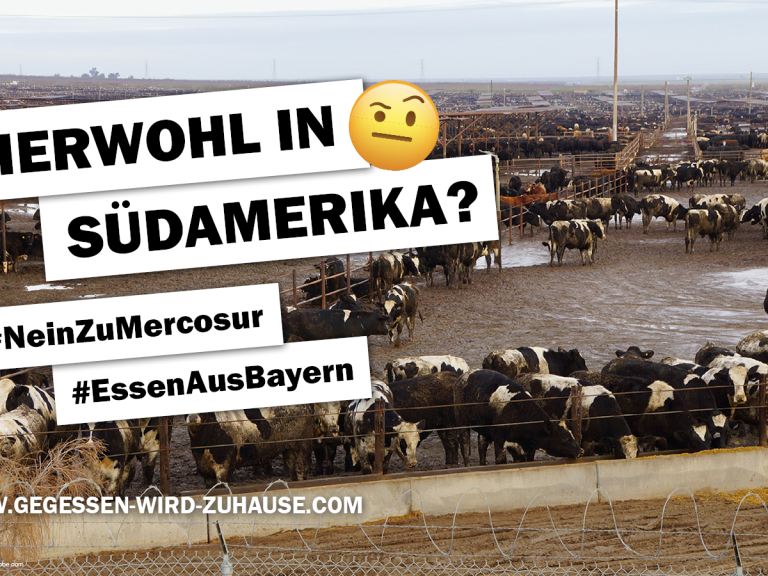 Mercosur