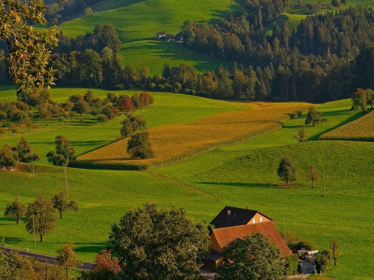 2020-02-03-Nebenerwerbslandwirtschaft