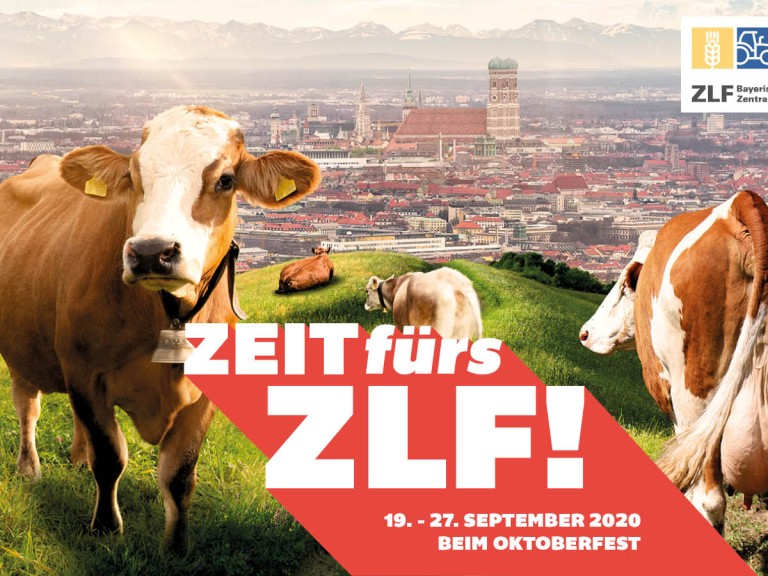 ZLF Motiv Foehnbild