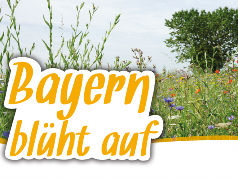 Bayern blüht auf