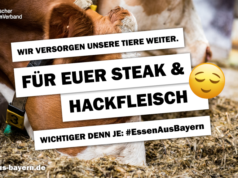 Motiv Steak und Hackfleisch