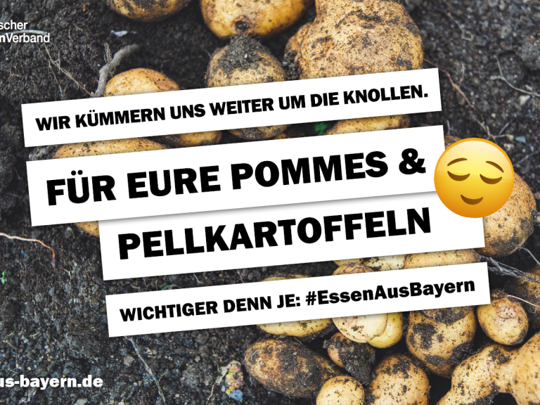 Für eure Pommes und Pellkartoffeln