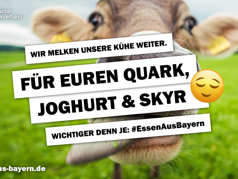 Essen aus Bayern Milch