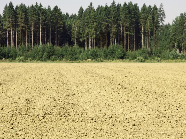 Vorbereiteter Acker mit Wald im Hintergrund
