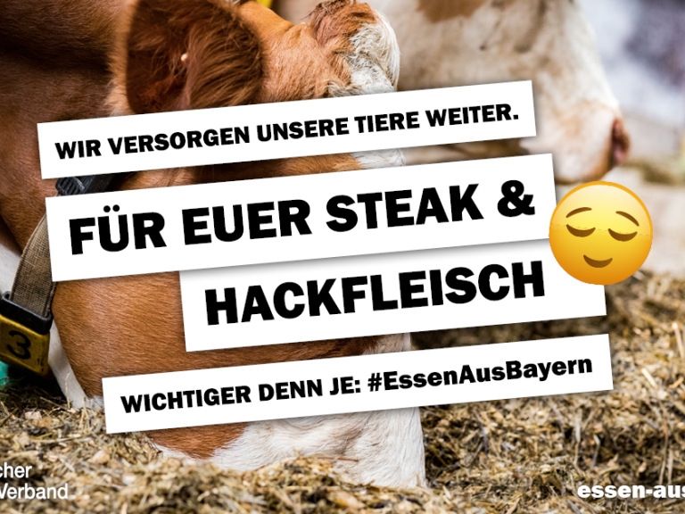 Rindfleisch aus der Region