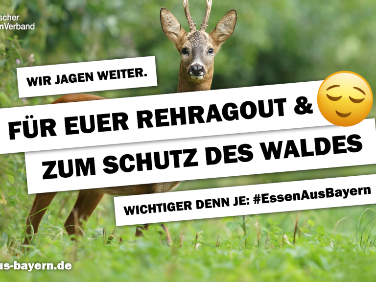 Verzehr von Wild 