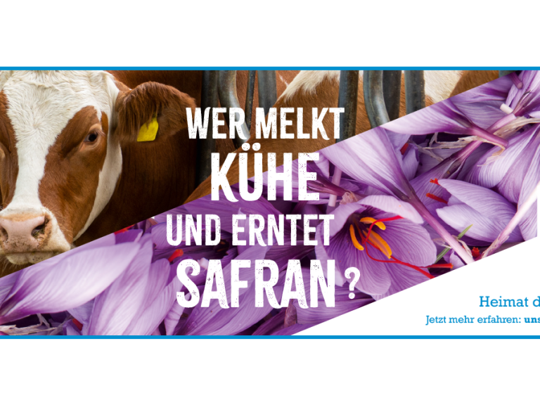Kühe melken