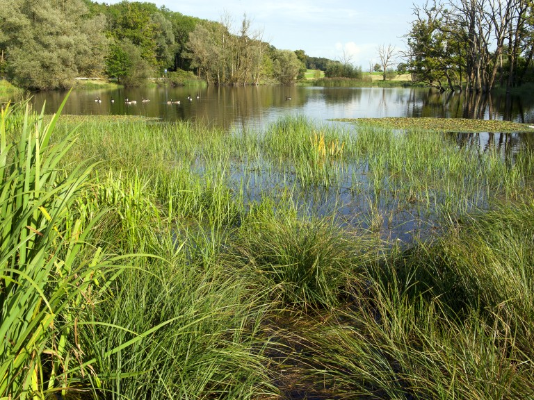 Landschaft mit See