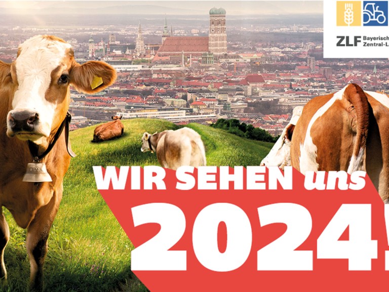 Nächstes ZLF 2024