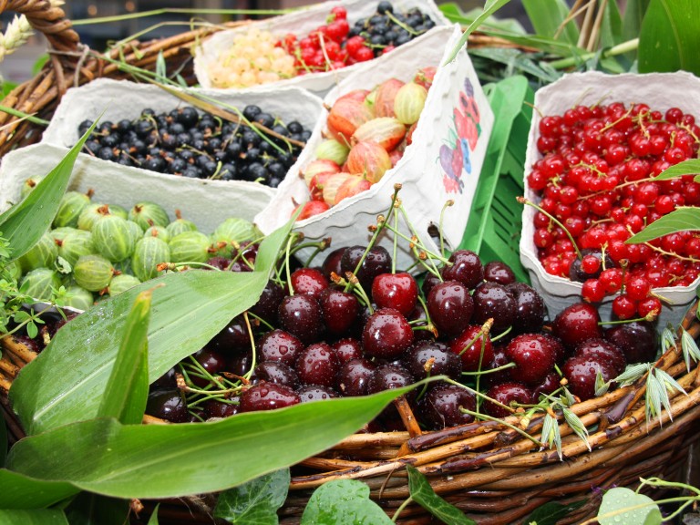 Früchte für leckere Konfitüren und Marmeladen im Sommer