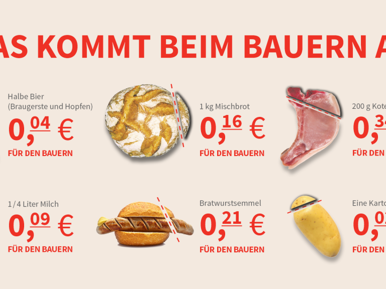 Preisvergleich, wie viel Landwirte für ihre Erzeugnisse vom Preis im Supermarkt bekommen