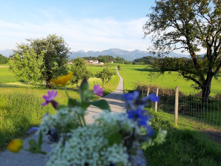 Radweg in Oberbayern