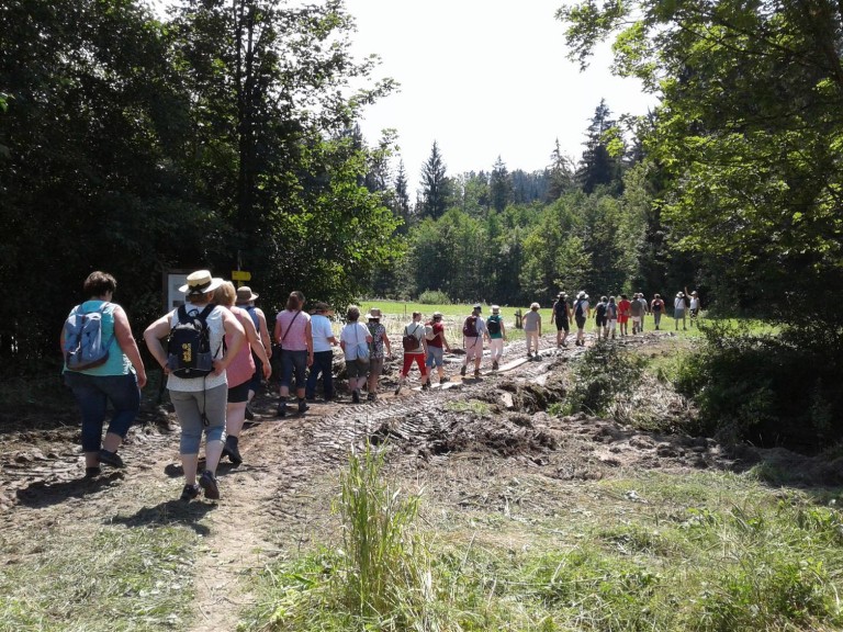 Landwirtschaftsweg Samerberg