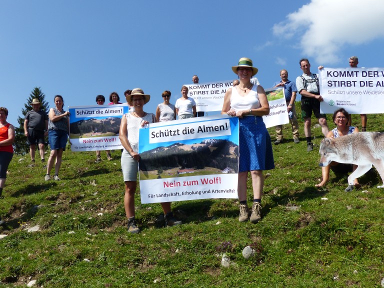 wolfaktion auf der alm