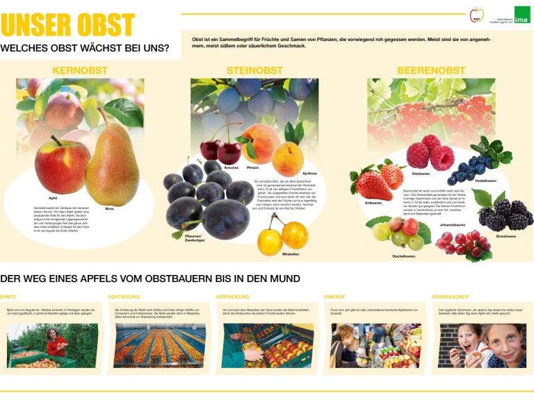 Unterrichtsposter Heimisches Obst