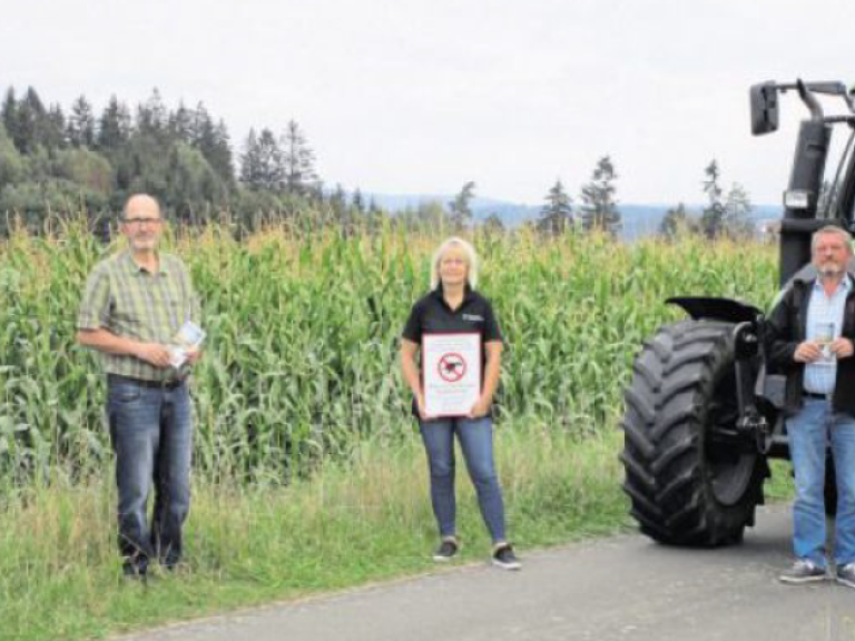 Vorstellung des Flyers in der Natur