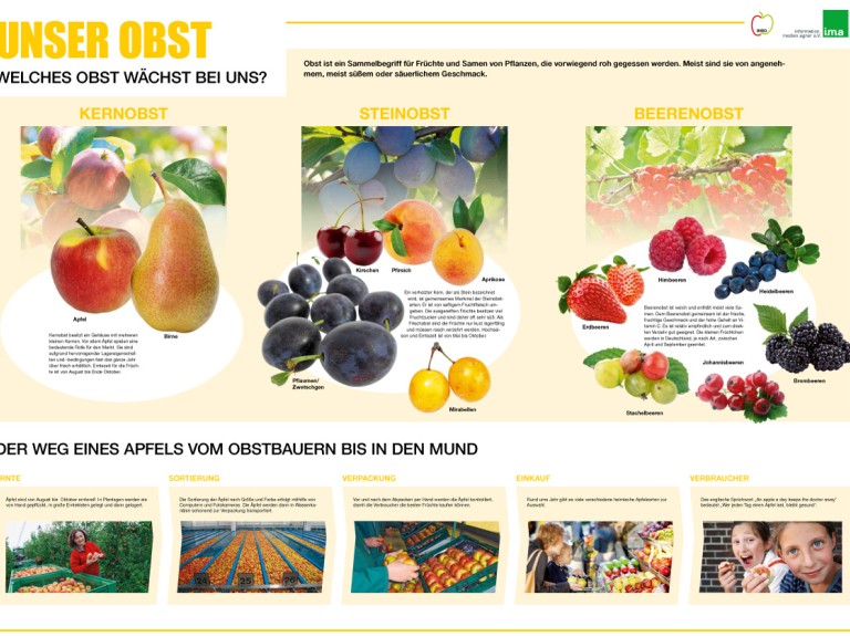 Das neue Unterrichtsposter der ima zum Thema Obst.