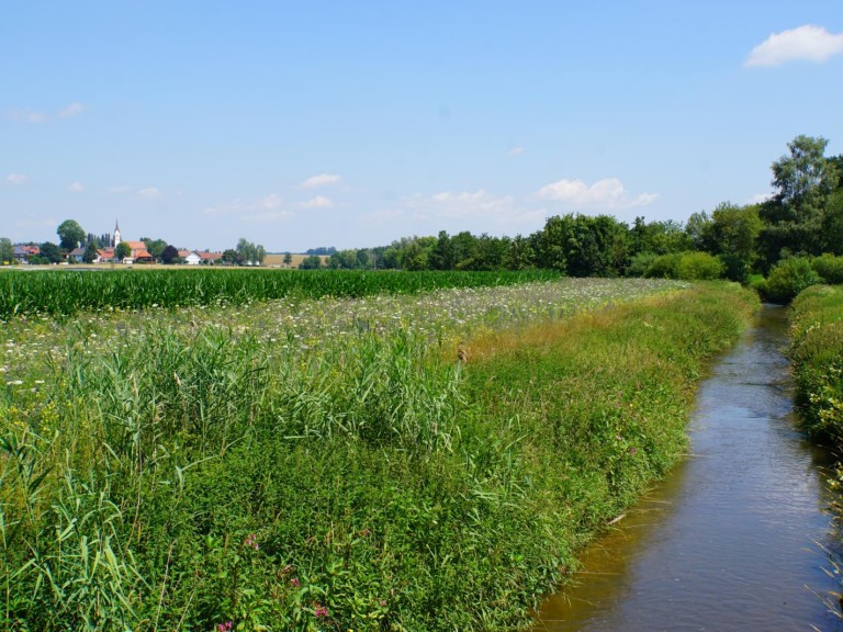 Bachlauf
