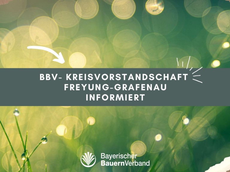 Titelbild Freyung