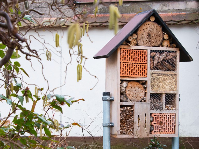 Insektenhotel vor Terrasse