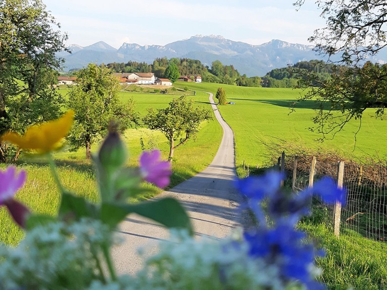 Chiemgau mit Bergen im Hintergrund