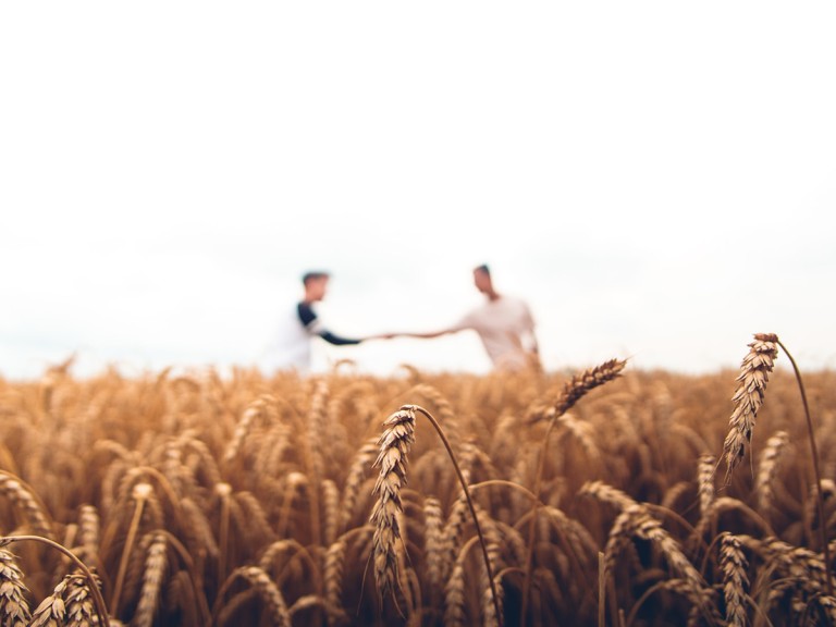 Feld mit zwei jungen Landwirten