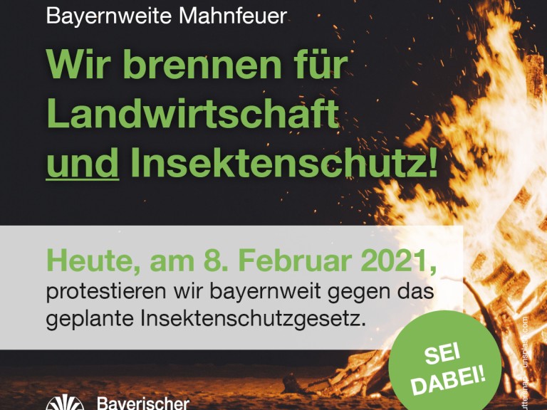 Mahnfeuer Aktion Insektenschutzgesetz