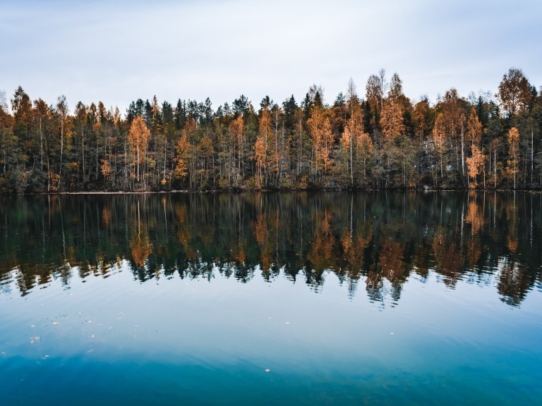 See mit Bäumen im Hintergrund.