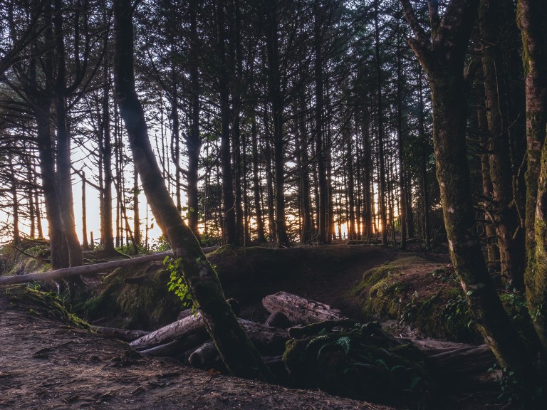 Wald