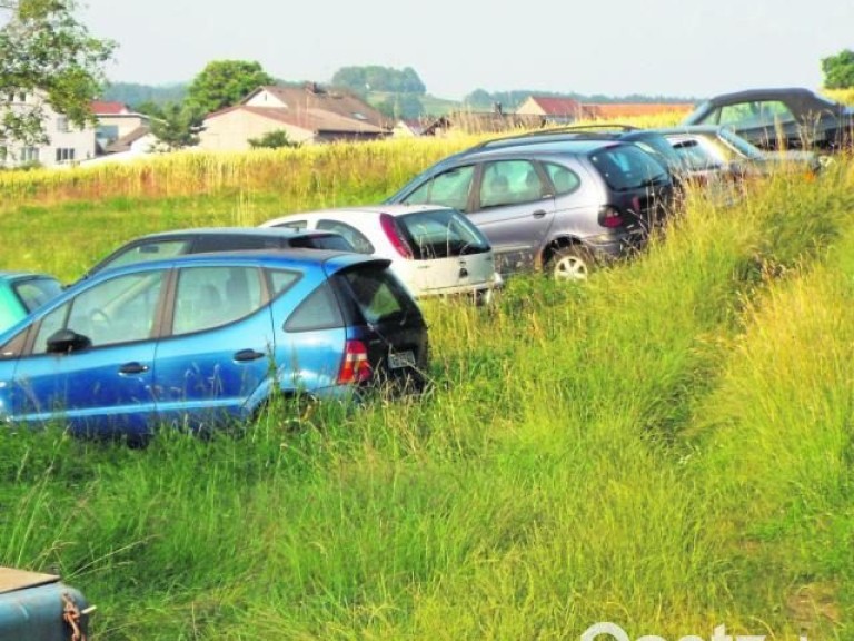 Auto auf Wiese
