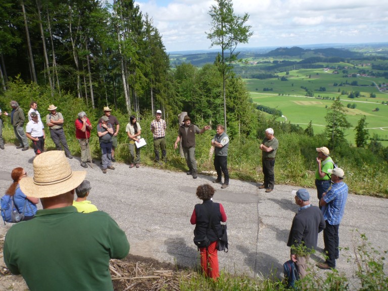 Waldbegang