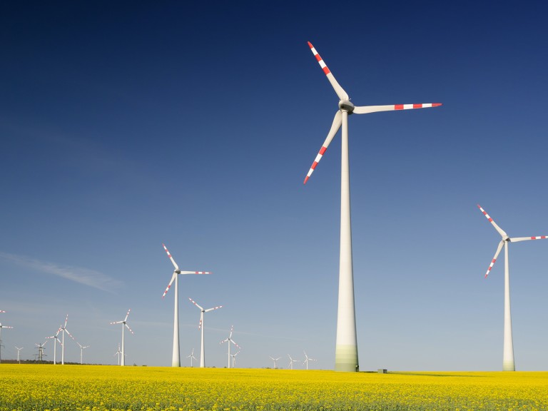 Windräder auf blühendem Rapsfeld