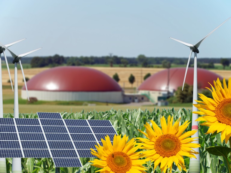 Erneuerbare Energien