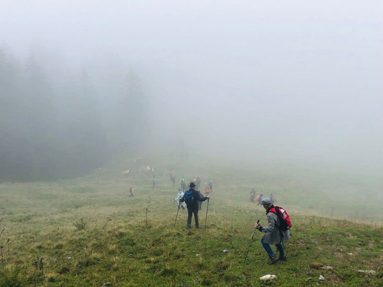 Almbegehung im Stümpflinggebiet