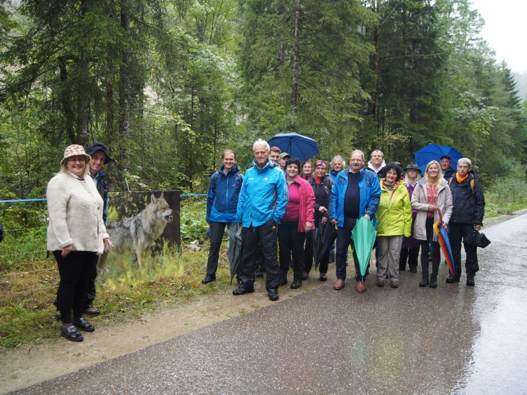 BBV-Almwanderung mit Bundestagskandidaten