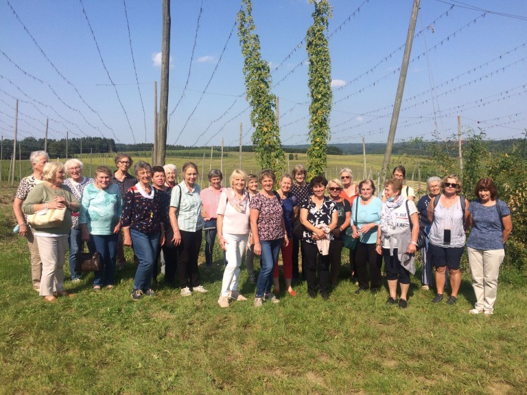 Halfinger Bäuerinnen bei der Hopfenernte