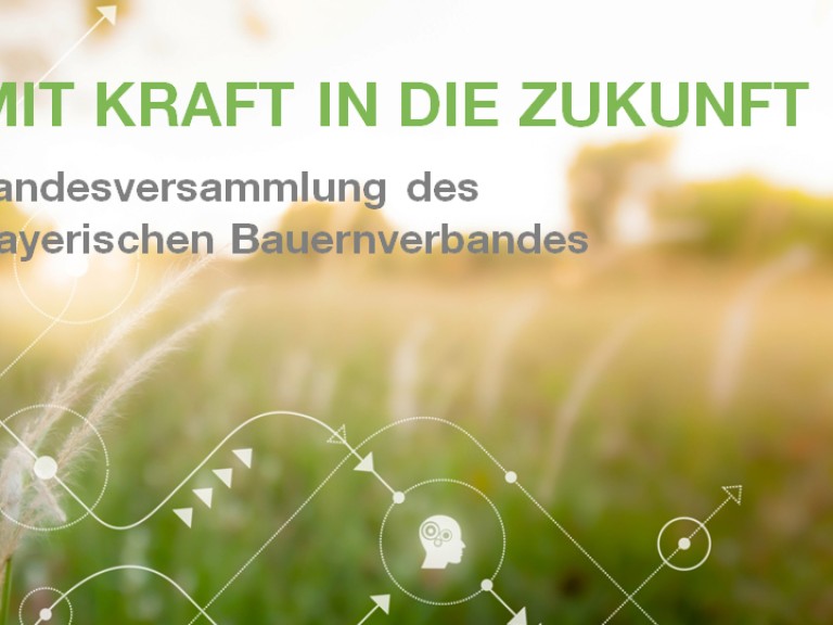 Mit Kraft in die Zukunft - das Motto der Landesversammlung 2021.