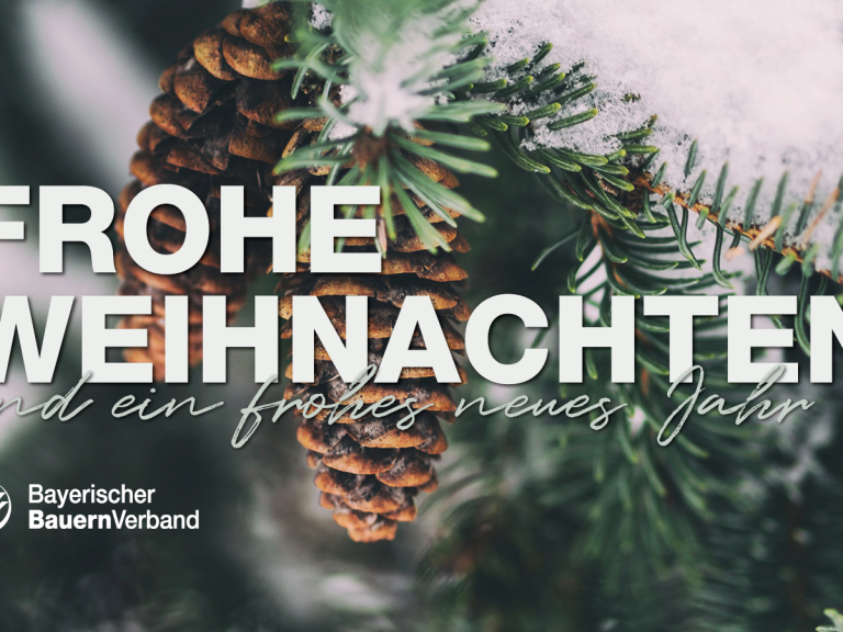 2021-12-21-Frohe-Weihnachten