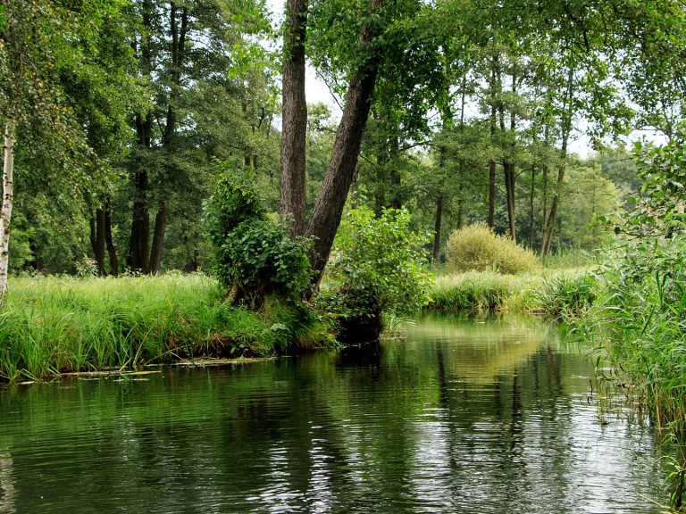 Biosphäre
