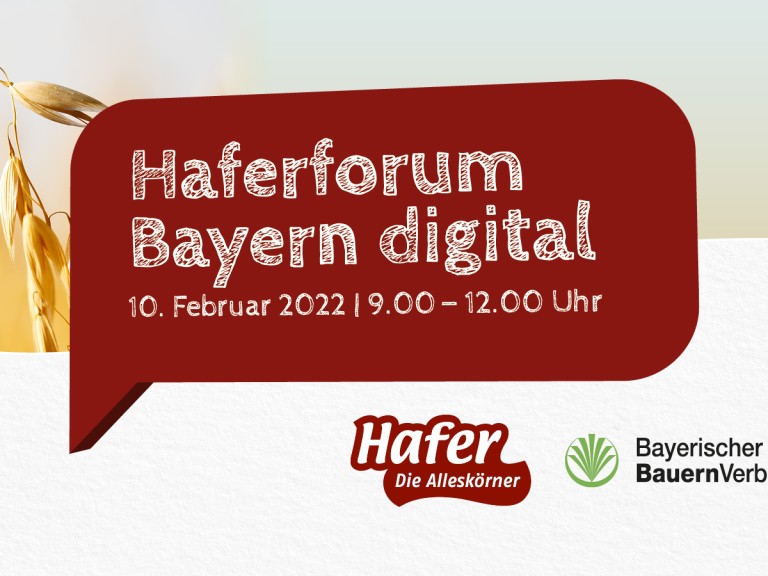 Haferforum