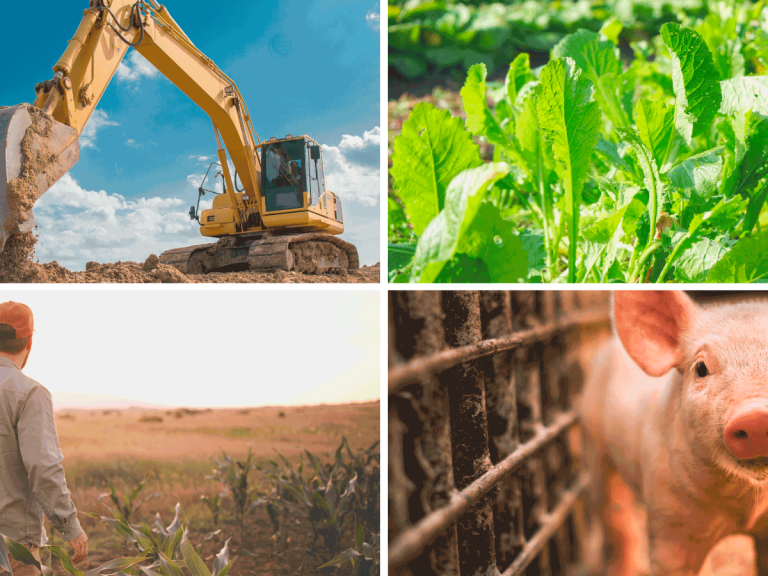 Bild-Collage Bagger, Pflanzen, Landwirt und Ferkel