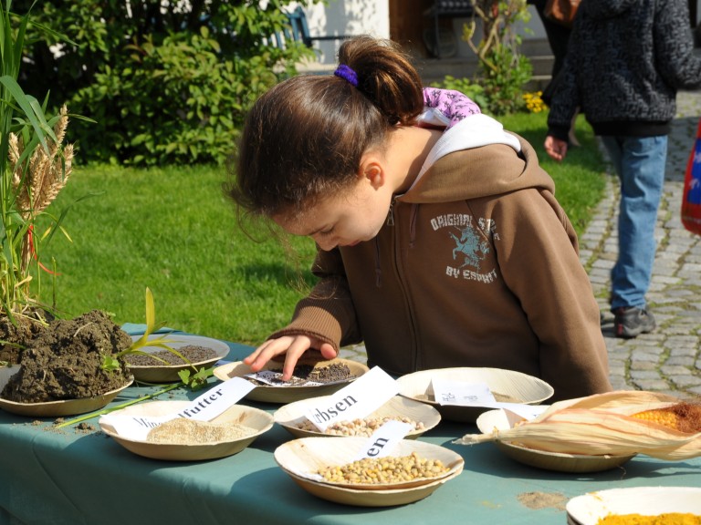Projektwoche Schule fürs Leben