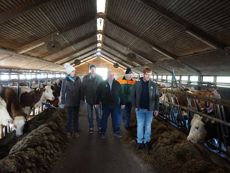 Stallgespräch in Welitsch