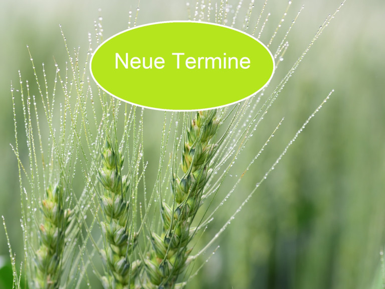 Pflanzenschutz