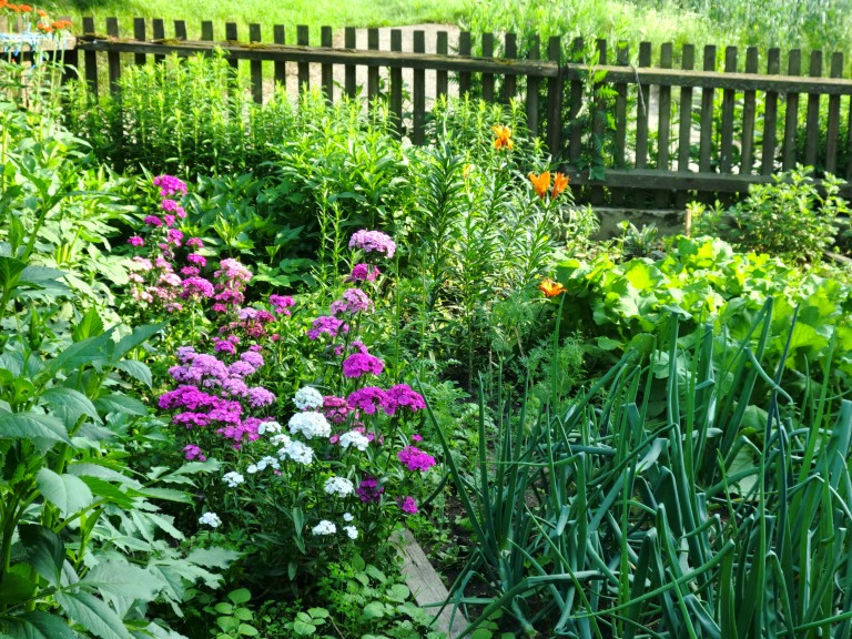 Garten 