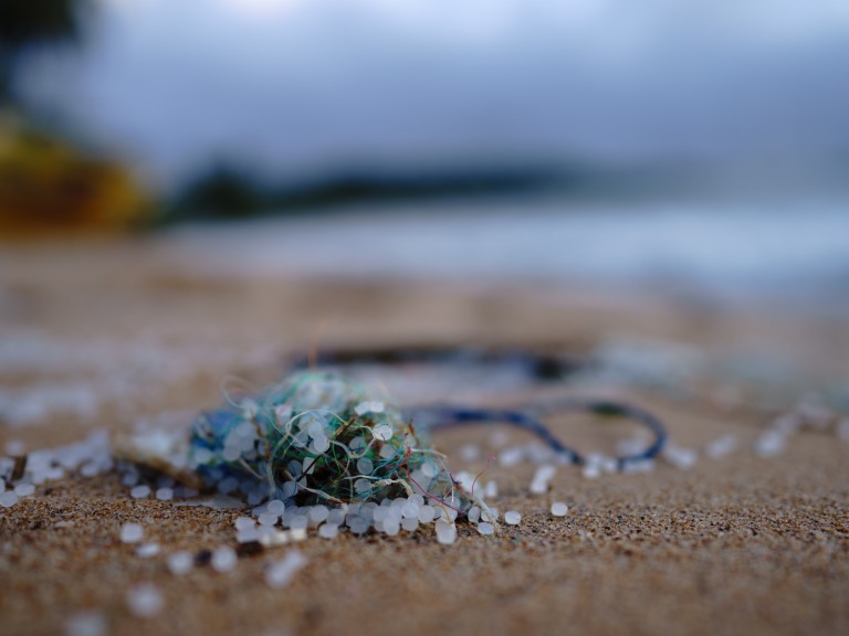 Mikroplastik
