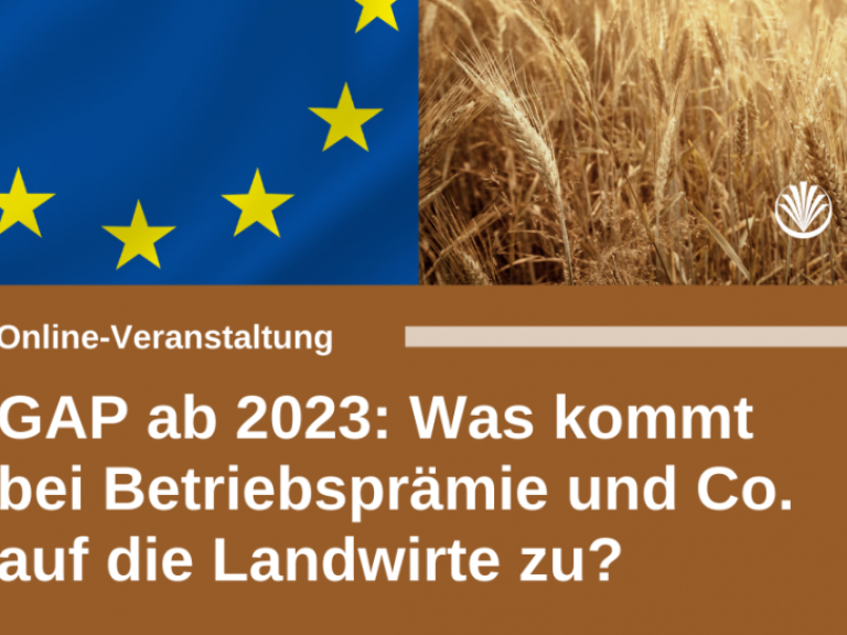 GAP 2023