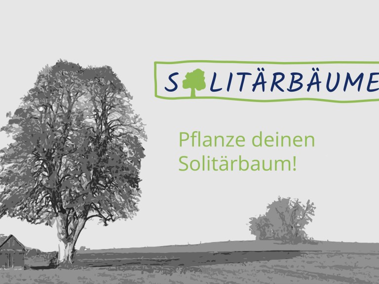 Solitärbäume - Werde Zeichenpflanzer